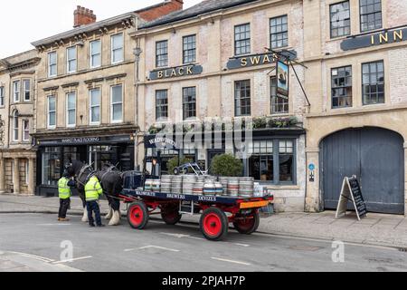 2 grandi cavalli Shire che tirano un dray carico di birra locale Wadworth e consegnano a pub e locande locali, Devizes, Wiltshire, Inghilterra, Regno Unito Foto Stock