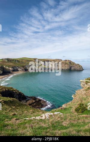 La costa frastagliata della Cornovaglia settentrionale sul South West Coast Path vicino a Bossiney Cove, Inghilterra, Regno Unito Foto Stock