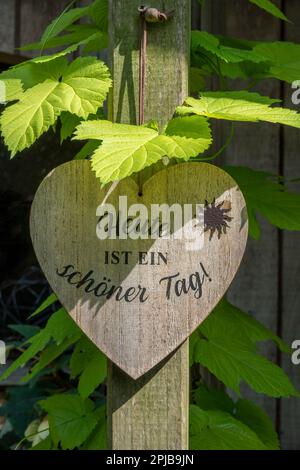 Cuore di legno con iscrizione Heute ist ein schoener Tag!, Germania Foto Stock