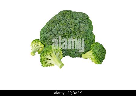 Broccoli cavolo fiore testa e fiori separati isolato su bianco. Brassica oleracea var. verdure italica. Pianta verde commestibile Foto Stock