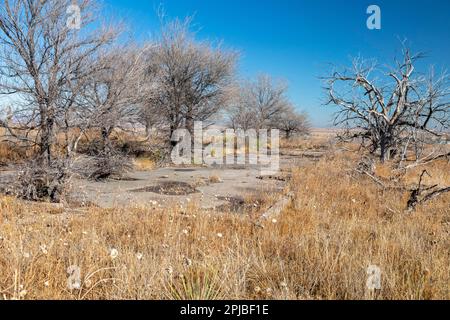 Granada, Colorado, il campo di internamento giapponese Amache della seconda guerra mondiale nel Colorado sudorientale è diventato parte del Servizio del Parco Nazionale, come presidente Joe Foto Stock