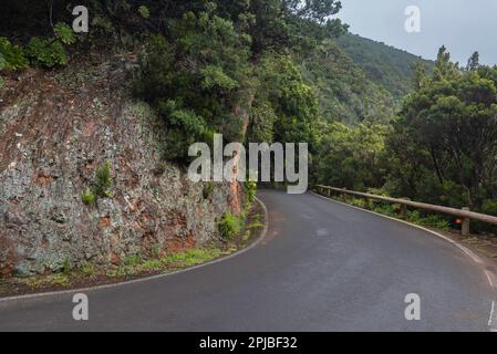 Strada in montagna attraverso Parque Rural de Anaga, tenerife, isole canarie, Spagna in giornata di marzo Foto Stock