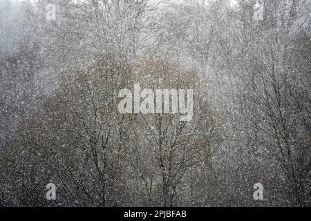 Nevicate, Karlovy Vary, Repubblica Ceca Foto Stock