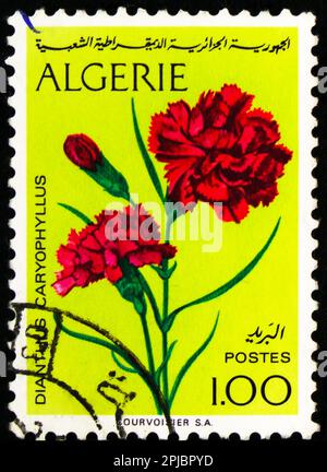 MOSCA, RUSSIA - 26 MARZO 2023: Francobollo stampato in Algeria mostra garofano (Dianthus caryophyllus), serie Fiori, circa 1973 Foto Stock