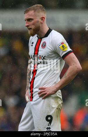 Norwich, Regno Unito. 01st Apr, 2023. Oliver McBurnie #9 di Sheffield United durante la partita del Campionato Sky Bet Norwich City vs Sheffield United a Carrow Road, Norwich, Regno Unito, 1st aprile 2023 (Foto di Arron Gent/News Images) a Norwich, Regno Unito il 4/1/2023. (Foto di Arron Gent/News Images/Sipa USA) Credit: Sipa USA/Alamy Live News Foto Stock