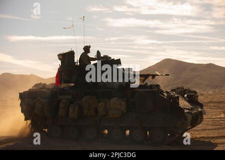 Un equipaggio modernizzato di veicoli da combattimento M2A4 Bradley assegnato alla 'Brigata Spartan', 2nd squadra di combattimento di Brigate Armorate, 3rd Divisione di Fanteria, manovra il deserto il National Training Center, Fort Irwin, California, 7 marzo 2023. La Brigata Spartana, la brigata più modernizzata dell’Esercito, ha completato la sua rotazione NTC 23-05, rendendola non solo l’unità più attrezzata ma più letale dell’arsenale americano mentre l’Esercito si muove verso la costruzione dell’Esercito del 2030. (STATI UNITI Foto dell'esercito di Sgt. DRE Stout, 50th distaccamento degli affari pubblici) Foto Stock