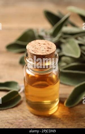 Bottiglia di olio essenziale e foglie di salvia fresche su tavola di legno, primo piano Foto Stock