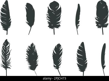 Silhouette piuma, Feather SVG, silhouette piuma d'uccelli, icona vettore piuma Illustrazione Vettoriale