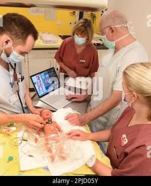 PRODUZIONE - 17 marzo 2023, Sassonia, Lipsia: Presso il reparto di neonatologia dell'Ospedale Universitario (UKL), sotto la direzione del medico senior per la neonatologia Prof. Dr. MED. Matthias Knüpfer (2nd da destra), l'infermiera sanitaria e pediatrica Lisa König, l'infermiera pediatrica e l'infermiera specializzata per le cure intensive Gabriele Koch e lo studente di medicina nell'anno pratico Cornelius Durrant-Finn (r-l) partecipano ad un training di rianimazione per i più piccoli pazienti sul simulatore prematuro del bambino 'Paul'. Fanno parte del team di neonatologia dell'UKL, per il quale il trattamento iniziale di estremamente Foto Stock