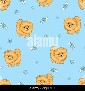 Modello senza cuciture con simpatico cucciolo pomerano sul blu. Sfondo dei cani vettoriali. Illustrazione Vettoriale
