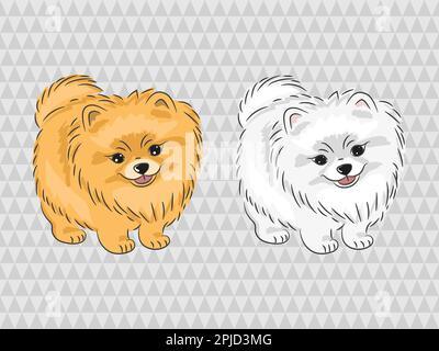 Cane Pomerano. Illustrazione vettoriale di cucciolo carino. Illustrazione Vettoriale