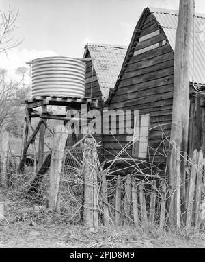 Una fotografia in bianco e nero del 1980, formato medio della recinzione fatta dai vecchi pali della recinzione rotti e dal filo di pollo vicino ad una casa con tetto in legno e ferro galvanizzato nella città di paese di Sofala nel nuovo Galles del Sud Occidentale Centrale, Australia. Accanto alla casa, montato su uno stand è un serbatoio di acqua piovana in ferro galvanizzato utilizzato per fornire acqua alla casa. Foto Stock