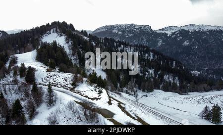 Vista del drone del paesaggio Chartreuse, su un tardo pomeriggio nebbia, Balme de l'air, Saint-Pierre de Chartreuse, Isere, Francia Foto Stock