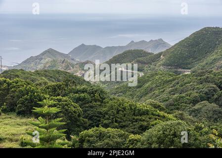 Vista sulle montagne con la strada a serpentina nel parco nazionale di Anaga, Tenerife, Spagna il giorno di marzo Foto Stock