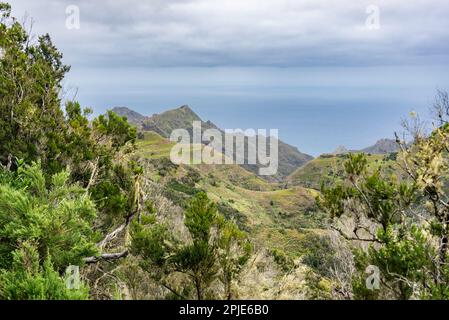 Vista sulle montagne nel parco nazionale di Anaga, Tenerife, Spagna, il giorno di marzo Foto Stock