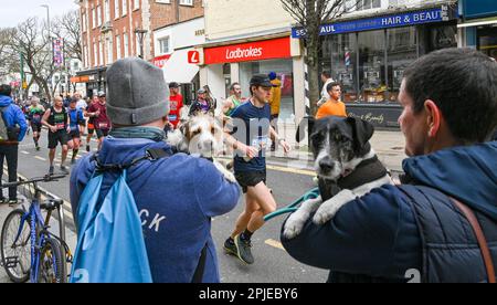 Brighton UK 2nd aprile 2023 - gli spettatori costeggiano le strade mentre migliaia di corridori partecipano oggi alla maratona di Brighton : Credit Simon Dack / Alamy Live News Foto Stock