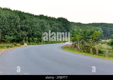 Strada curva che passa attraverso la giungla . Senza veicolo su di esso . Foto Stock