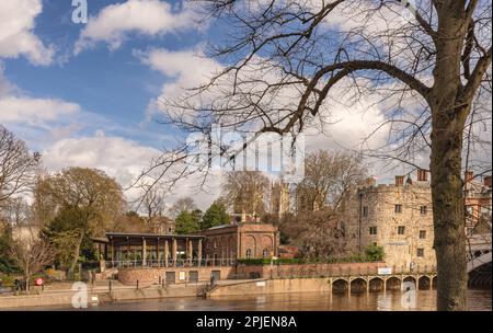 Il fiume Ouse scorre a valle oltre un ristorante e un antico edificio. Le torri di York Minster possono essere viste sullo skyline. Un albero è nel for Foto Stock