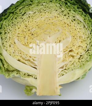 Wirsing, Brassica oleracea var sabauda ist eine sehr schmackhafte Kohlsorte. Cavolo di Savoia, Brassica oleracea var sabauda, è una varietà molto gustosa di Foto Stock