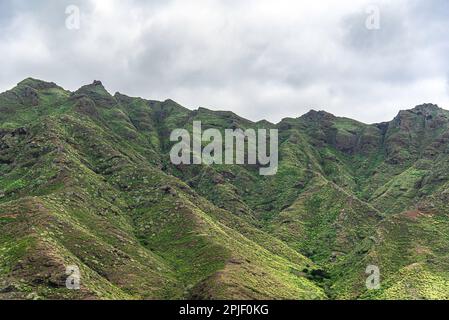 Vista sulle montagne nel parco nazionale di Anaga, Tenerife, Spagna, il giorno di marzo Foto Stock