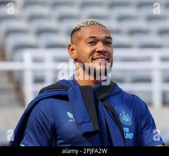 2nd aprile 2023; St James' Park, Newcastle, Inghilterra: Premier League Football, Newcastle United contro Manchester United; Joelinton del Newcastle United arriva a terra Foto Stock