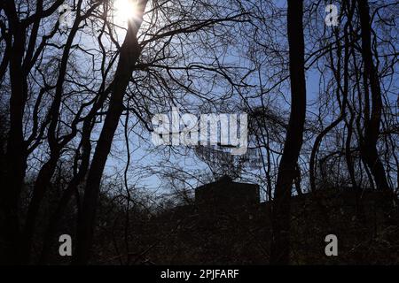 Camp Hero state Park, Montauk, Long Island, NY Foto Stock