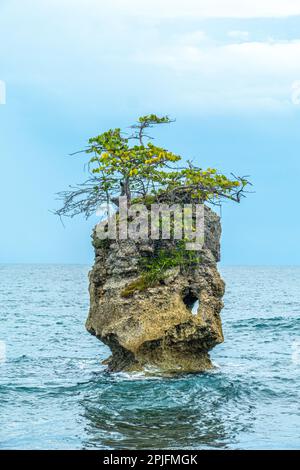 Piccola isola rocciosa con un piccolo albero tropicale in cima circondata da acqua di mare blu in Costa Rica Foto Stock