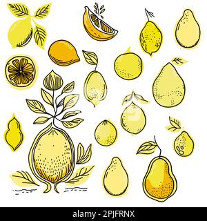 Limoni con contorno nero Illustrazione Vettoriale