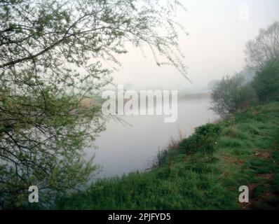 Inghilterra. Dorset. Fiume Stour nella nebbia. Foto Stock