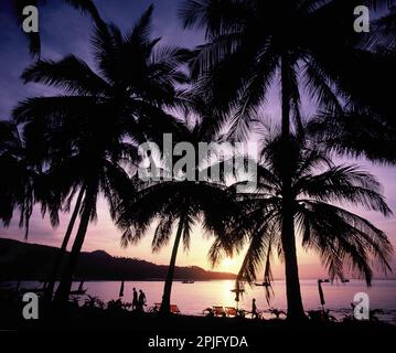 Thailandia. Phi Phi Island. Silhouette di palme da cocco e persone in spiaggia. Foto Stock