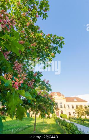 Parco Nazionale Donau-Auen, Danubio-Auen Parco Nazionale: Schloss Eckartsau Castello a Donau, Niederösterreich, bassa Austria, Austria Foto Stock