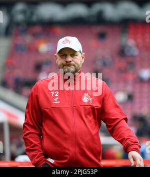 Koeln/Germania. 2nd aprile 2023, allenatore Steffen BAUMGART (K), Calcio 1st Bundesliga, 26th matchday, FC Colonia (K) - Borussia Monchengladbach (MG), il 2nd aprile 2023 a Koeln / Germania. Le normative #DFL vietano qualsiasi uso di fotografie come sequenze di immagini e/o quasi-video # Foto Stock