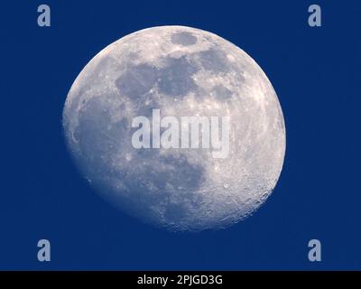 Sheerness, Kent, Regno Unito. 2nd Apr, 2023. UK Weather: La luna dibbosa cerante sopra Sheerness, Kent. Credit: James Bell/Alamy Live News Foto Stock