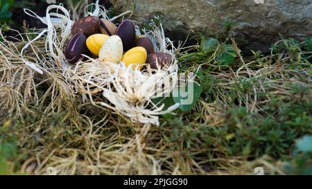 Uova di cioccolato pasquale nel nido nascosto nel giardino. Diversi colori della vista laterale cioccolato. Foto Stock