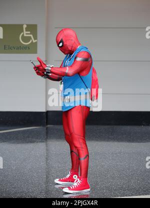 Chicago, Illinois, Stati Uniti. 1st Apr, 2023. Partecipante al costume Spiderman al Chicago Comic & Entertainment Expo di McCormick Place South, il più grande convegno di cultura pop del Midwest. Questo evento di 3 giorni è frequentato da 20.000 a 30.000 partecipanti, appassionati di fumetti, cosplay, videogiochi, anime, spettacoli TV, film, libri, wrestling e commedia. (Credit Image: © Pat A. Robinson/ZUMA Press Wire) SOLO PER USO EDITORIALE! Non per USO commerciale! Foto Stock