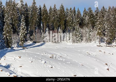 Vista sul parco nazionale di Oder stagno Harz Foto Stock