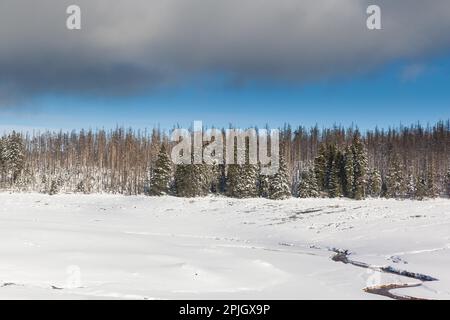 Vista sul parco nazionale di Oder stagno Harz Foto Stock