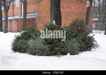 Scartato alberi di natale accatastati in angolo strada per la raccolta rifiuti in Germania Foto Stock