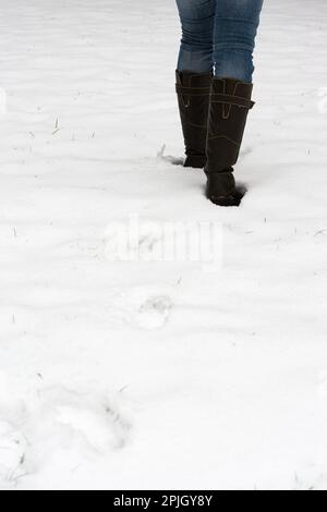 Vista posteriore delle gambe femmina in stivali a piedi attraverso la neve fresca lasciando dietro di footprint Foto Stock