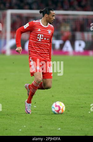 MONACO di BAVIERA, Germania - 01. 2023 APRILE: 10 Leroy SANƒ, sane, durante la partita di calcio della Bundesliga tra il Bayern Muenchen e il BVB Dortmund presso l'Allianz Arena di Monaco il 1. Aprile 2023 , Germania. DFL, Fussball, 4:2 (Foto e copyright @ ATP images / Arthur THILL (THILL Arthur / ATP / SPP) Foto Stock