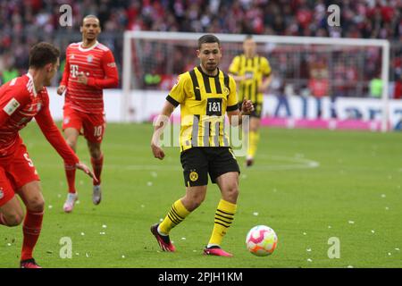 MONACO, Germania. , . 13 Raphael GUERREIRO durante la partita di calcio della Bundesliga tra il FC Bayern Muenchen e il BVB Dortmund presso l'Allianz Arena di Monaco il 1. Aprile 2023, Germania. DFL, Fussball, 4:2 (Foto e copyright @ ATP images/Arthur THILL (THILL Arthur/ATP/SPP) Credit: SPP Sport Press Photo. /Alamy Live News Foto Stock