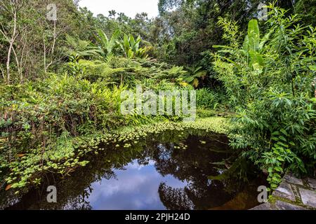 Grazioso giardino di una pensione a Mucuge nel Parco Nazionale della Chapada Diamantina, Bahia in Brasile Foto Stock