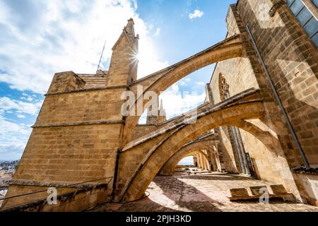 Foto esterna, tetto della Cattedrale di Palma, Cattedrale di Santa Maria, Palma, Maiorca, Spagna Foto Stock