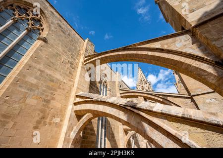 Foto esterna, tetto della Cattedrale di Palma, Cattedrale di Santa Maria, Palma, Maiorca, Spagna Foto Stock