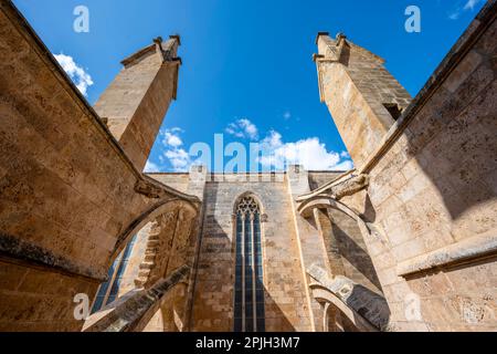 Foto esterna, tetto della Cattedrale di Palma, Cattedrale di Santa Maria, Palma, Maiorca, Spagna Foto Stock