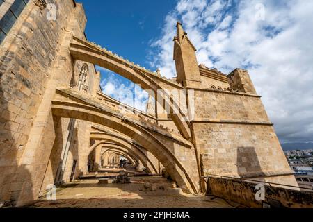 Foto esterna, tetto della Cattedrale di Palma, Cattedrale di Santa Maria, Palma, Maiorca, Spagna Foto Stock