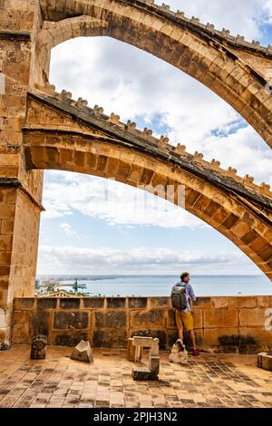 Foto esterna, tetto della Cattedrale di Palma, Cattedrale di Santa Maria, Palma, Maiorca, Spagna Foto Stock