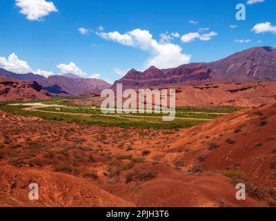 Las Conchas fiume in lontananza, a Quebrada de Las Conchas sulla Ruta 68, Provincia di Salta, Argentina Foto Stock