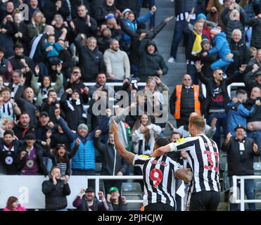 2nd aprile 2023; St James' Park, Newcastle, Inghilterra: Premier League Football, Newcastle United contro Manchester United; il Newcastle United's Callum Wilson celebra il secondo gol del suo fianco nel 88th minuto per ottenere il punteggio 2-0 con Dan Burn Foto Stock