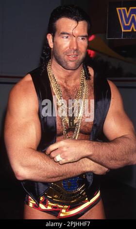 1993 Razor Ramon Foto di John Barrett/PHOTOlink Foto Stock